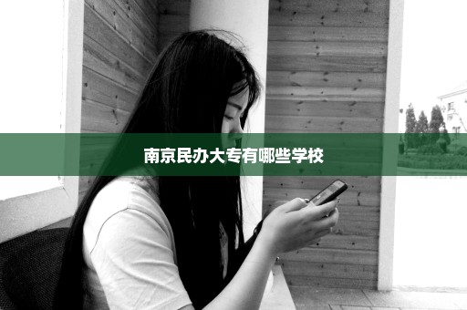 南京民办大专有哪些学校
