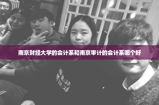 南京财经大学的会计系和南京审计的会计系哪个好