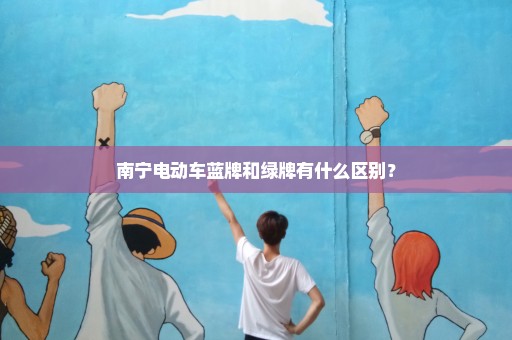 南宁电动车蓝牌和绿牌有什么区别？