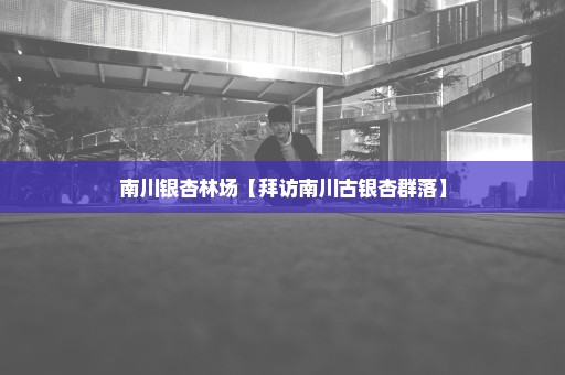 南川银杏林场【拜访南川古银杏群落】