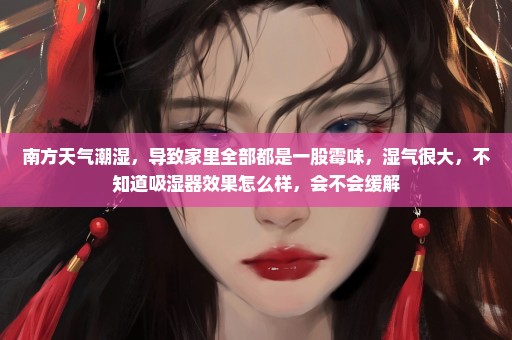 南方天气潮湿，导致家里全部都是一股霉味，湿气很大，不知道吸湿器效果怎么样，会不会缓解