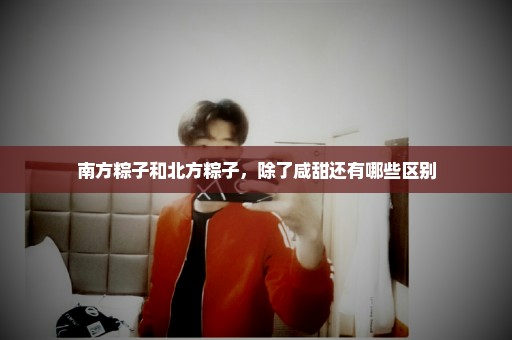 南方粽子和北方粽子，除了咸甜还有哪些区别