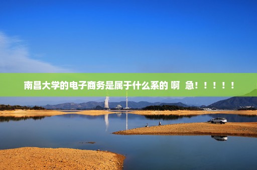 南昌大学的电子商务是属于什么系的 啊  急！！！！！