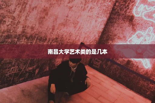 南昌大学艺术类的是几本