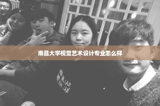 南昌大学视觉艺术设计专业怎么样