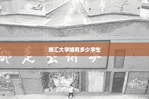 南汇大学城有多少学生