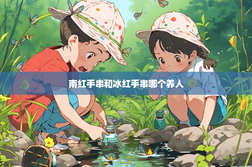 南红手串和冰红手串哪个养人
