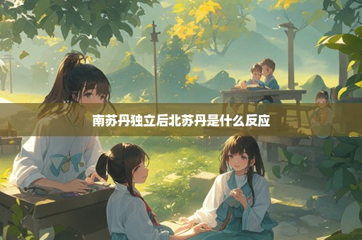 南苏丹独立后北苏丹是什么反应