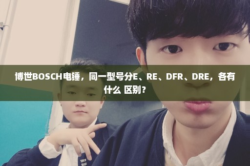 博世BOSCH电锤，同一型号分E、RE、DFR、DRE，各有什么 区别？
