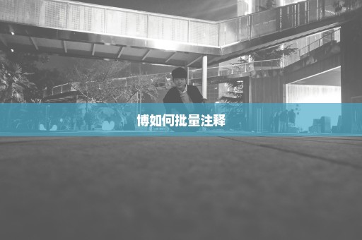 博如何批量注释