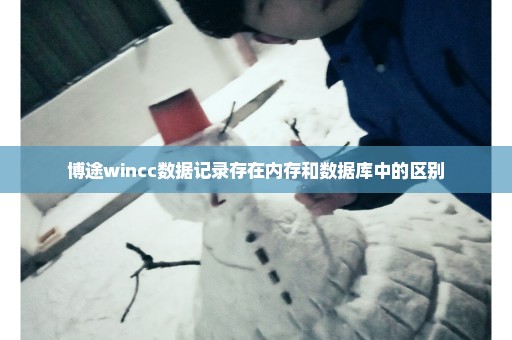 博途wincc数据记录存在内存和数据库中的区别