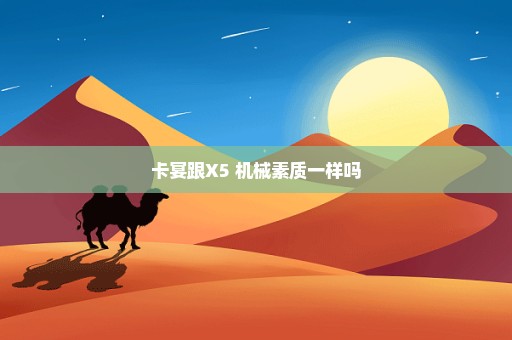 卡宴跟X5 机械素质一样吗