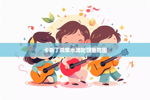 卡斯丁鸿隼水滴轮饵重范围