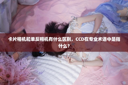 卡片相机和单反相机有什么区别，CCD在专业术语中是指什么？