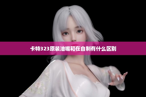 卡特323原装油嘴和在自制有什么区别