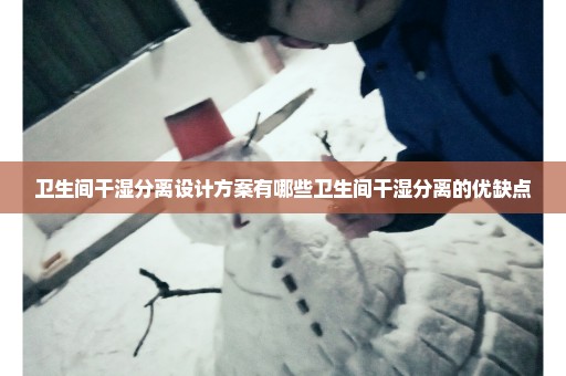 卫生间干湿分离设计方案有哪些卫生间干湿分离的优缺点