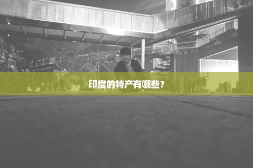 印度的特产有哪些？