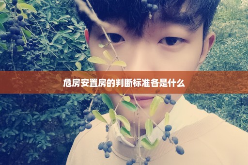 危房安置房的判断标准各是什么