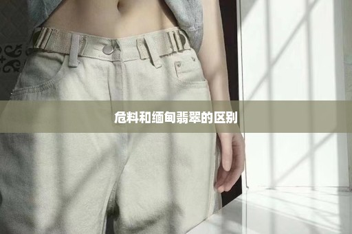 危料和缅甸翡翠的区别