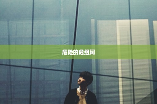 危险的危组词