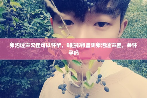 卵泡透声欠佳可以怀孕，B超排卵监测卵泡透声差，会怀孕吗
