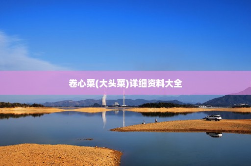 卷心菜(大头菜)详细资料大全