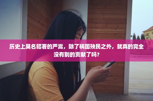 历史上臭名昭著的严嵩，除了祸国殃民之外，就真的完全没有别的贡献了吗？