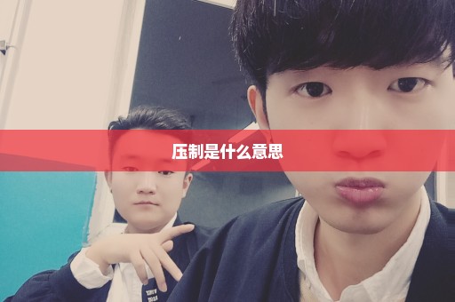 压制是什么意思
