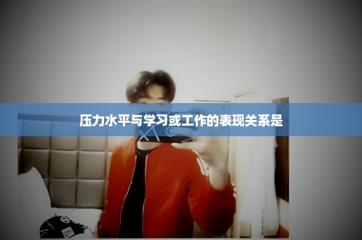 压力水平与学习或工作的表现关系是