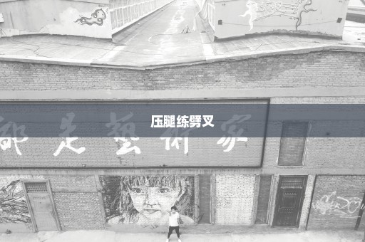 压腿练劈叉