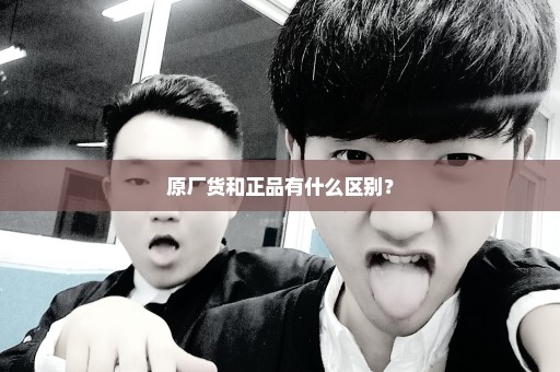 原厂货和正品有什么区别？