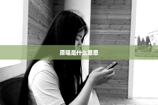 原唱是什么意思