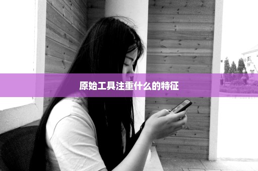 原始工具注重什么的特征