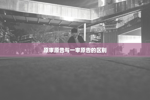原审原告与一审原告的区别