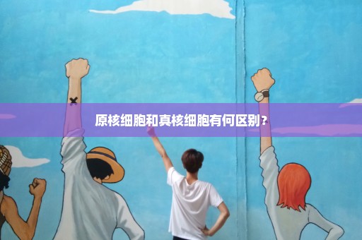 原核细胞和真核细胞有何区别？