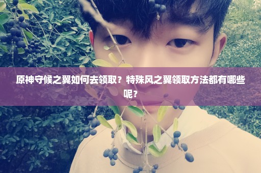 原神守候之翼如何去领取？特殊风之翼领取方法都有哪些呢？