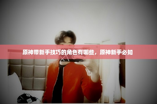 原神带新手技巧的角色有哪些，原神新手必知 