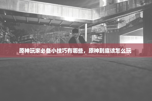 原神玩家必备小技巧有哪些，原神到底该怎么玩 