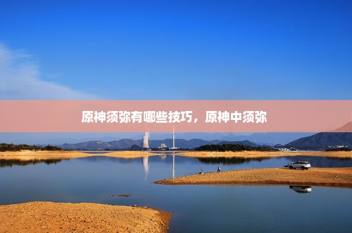 原神须弥有哪些技巧，原神中须弥 