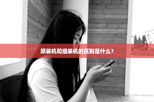 原装机和组装机的区别是什么？