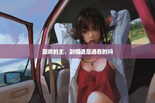 厨房的主、副烟道是通着的吗