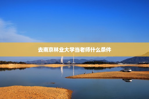 去南京林业大学当老师什么条件