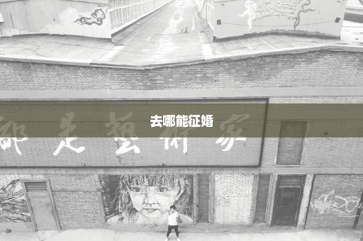 去哪能征婚
