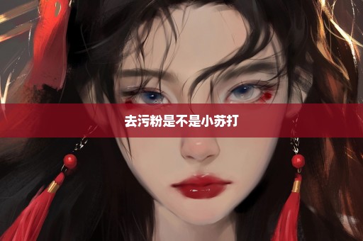 去污粉是不是小苏打