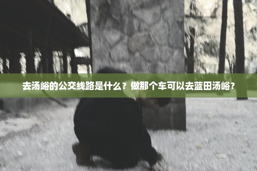 去汤峪的公交线路是什么？做那个车可以去蓝田汤峪？