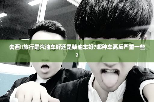 去西蔵旅行是汽油车好还是柴油车好?哪种车高反严重一些?