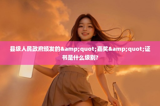 县级人民政府颁发的"嘉奖"证书是什么级别?