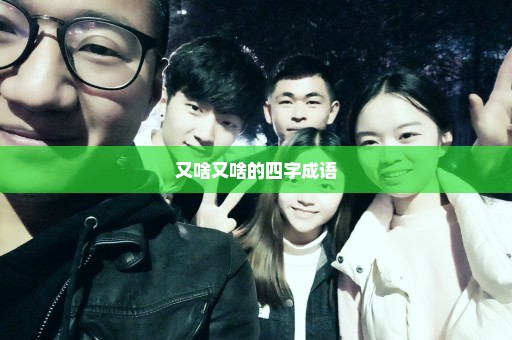 又啥又啥的四字成语