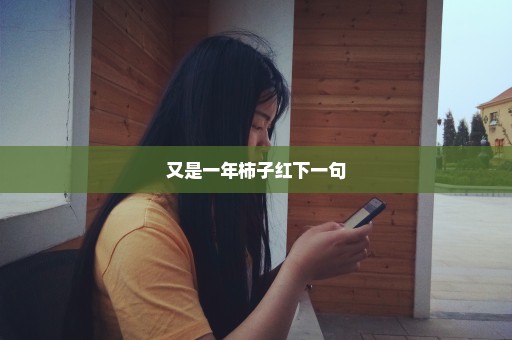 又是一年柿子红下一句