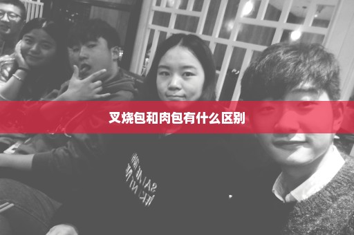 叉烧包和肉包有什么区别